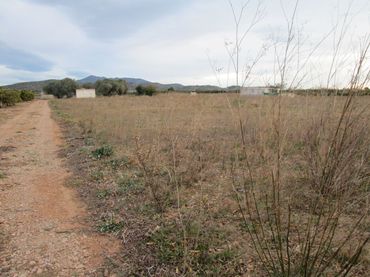 Terreno rustico in vendita a Partidas de interior - Zona Rústica