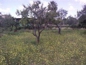 Country house for sale in Castilleja de Guzmán