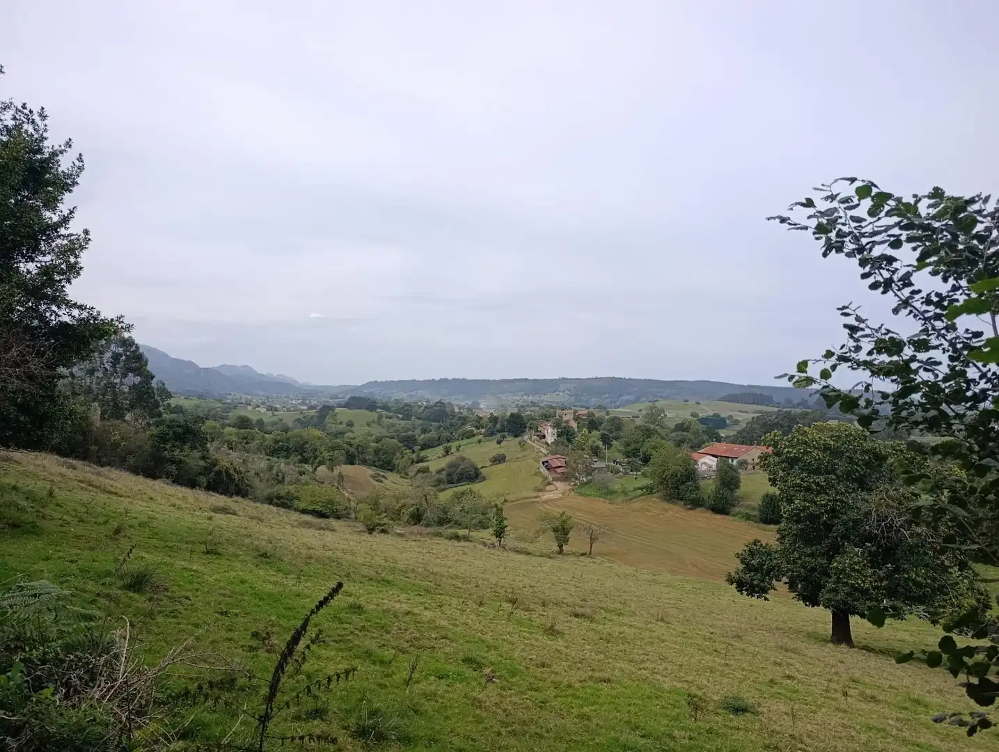 Rustikales Grundstück zum Verkauf in Carretera Piñera (Noriega) 0, imagen 58