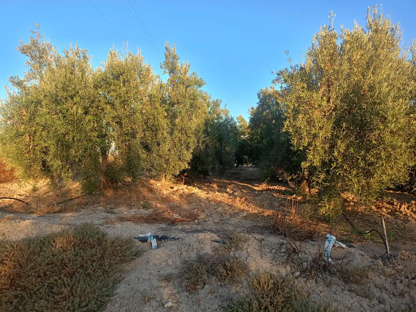Residencial en venda en Lorca