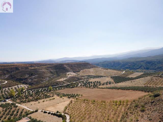 Finca rústica en Venta en Vereda morollon en La Peza