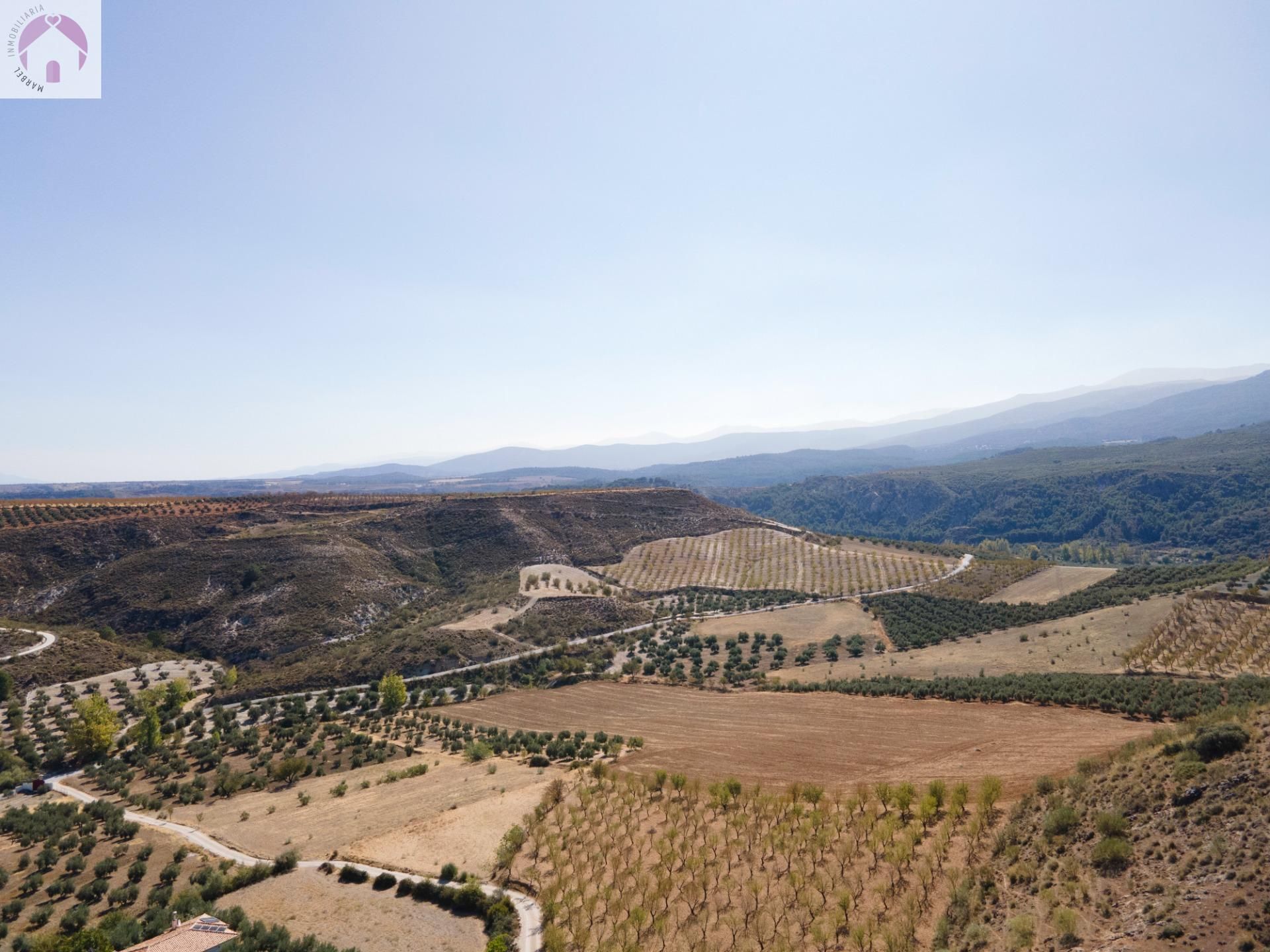 Vista exterior de Finca rústica en venda en La Peza amb Jardí privat, Terrassa i Traster