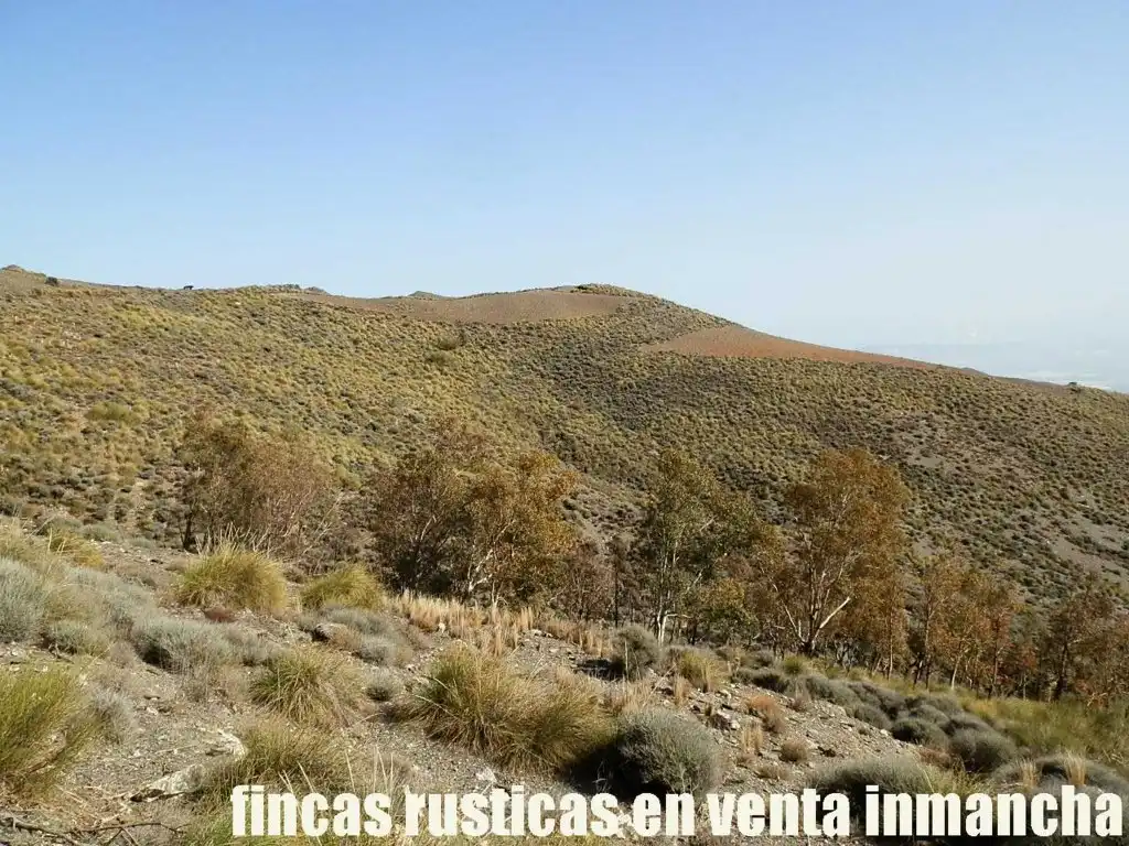 Terreny rústic en venda a Pechina, imagen 24