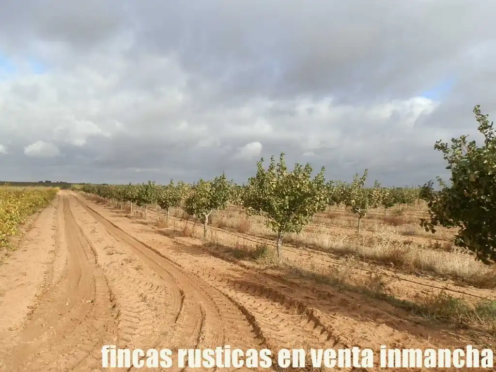 Terreni e lotti in vendita a Las Mesas, imagen 25
