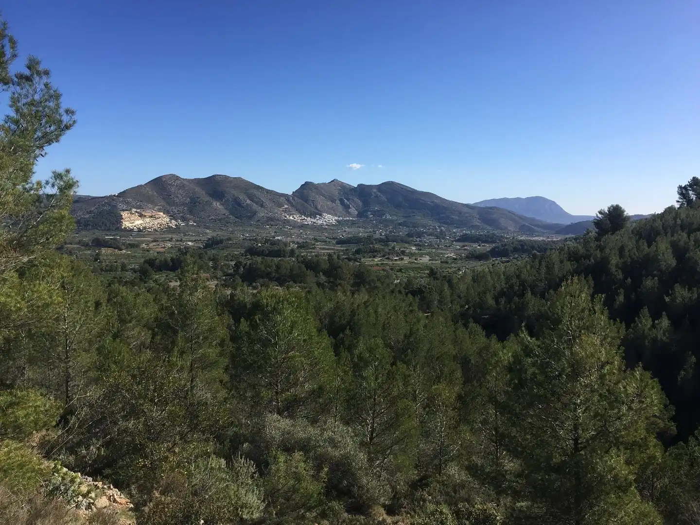Land for sale in Benigembla