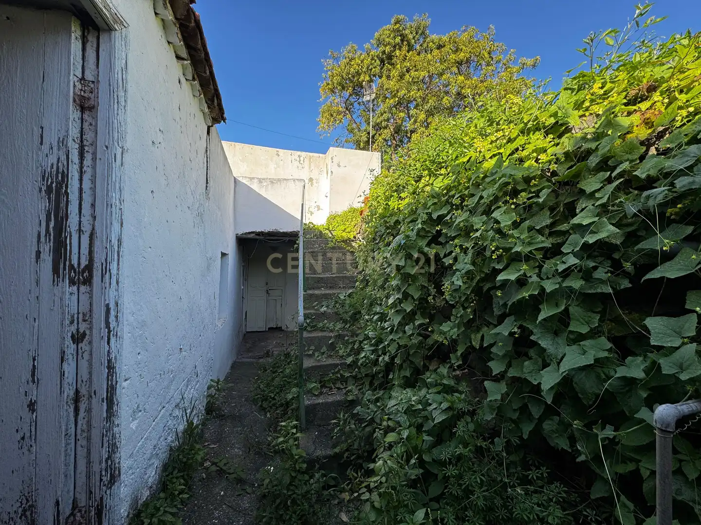 Casa o chalet en venta en La Matanza de Acentejo