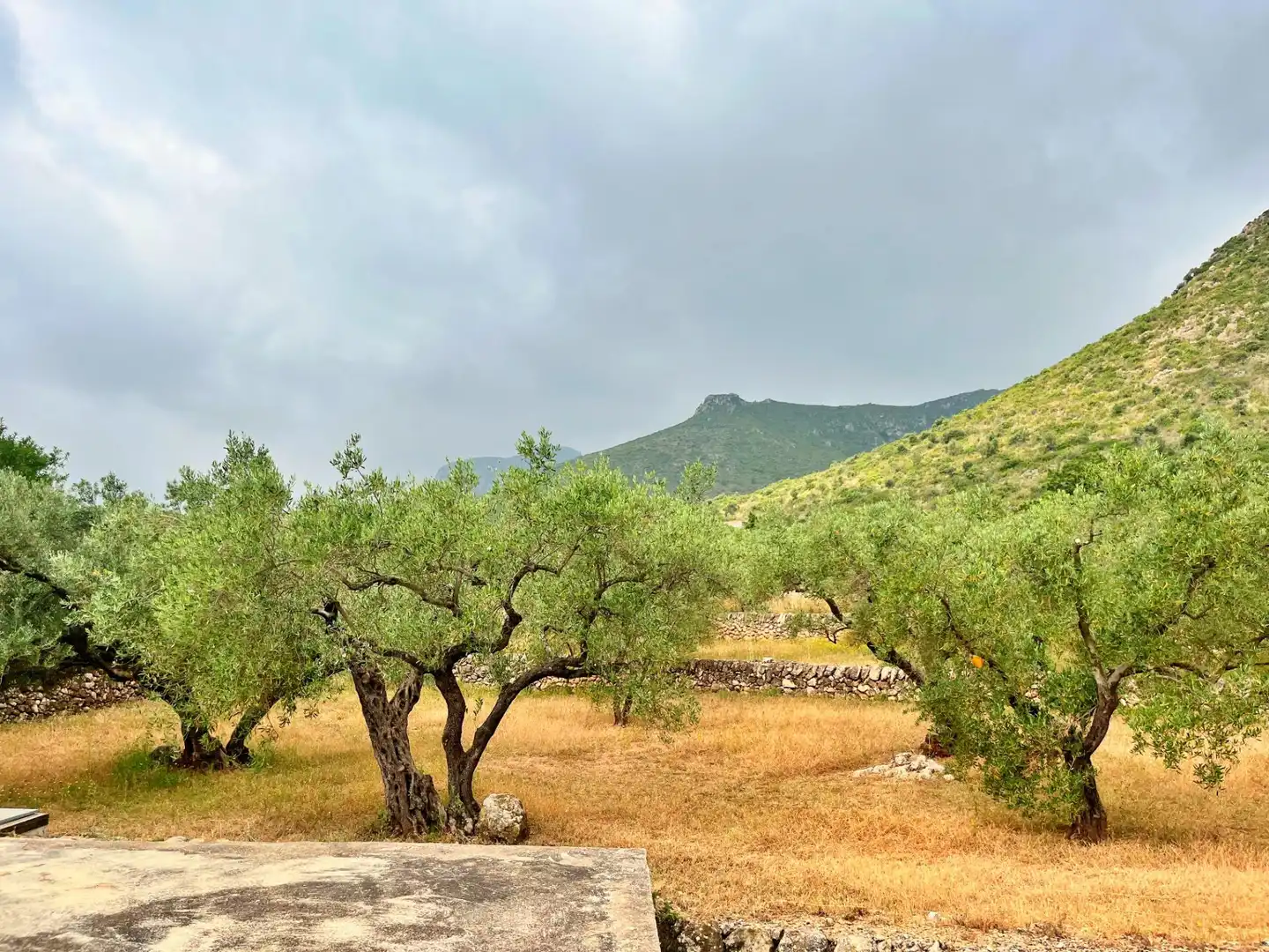 Villa avec jardin à vendre à Roquetes, imagen 34