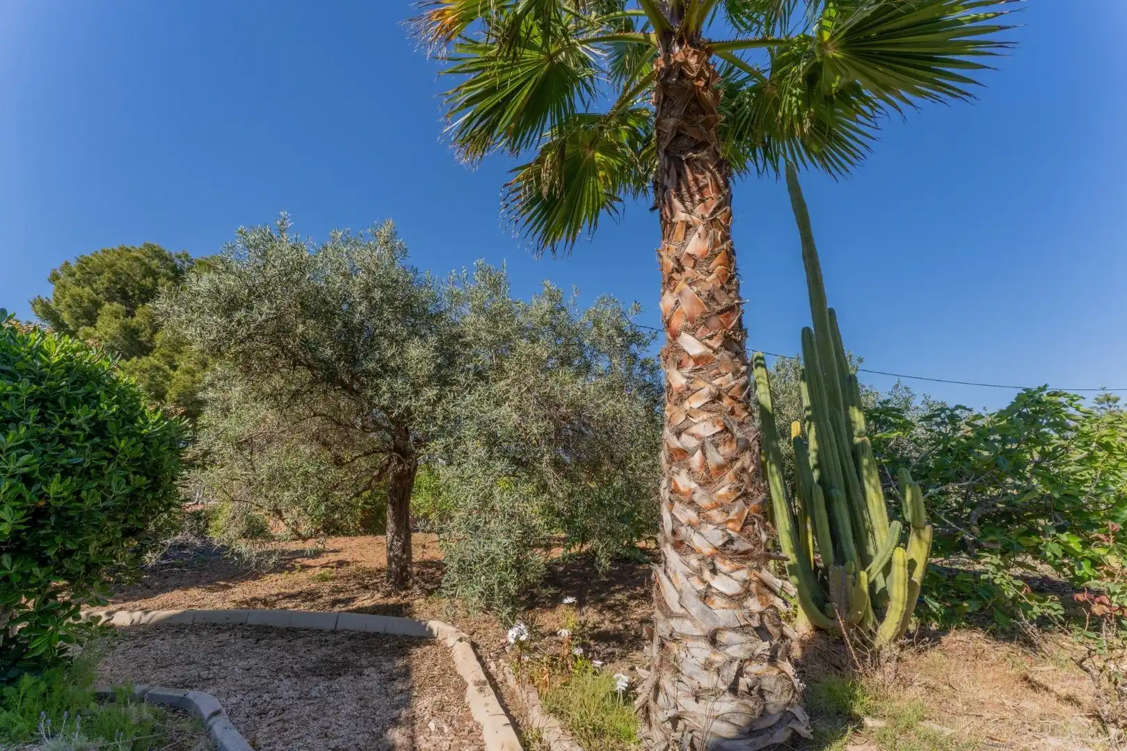 Casa o chalet en venta en Elche / Elx con Jardín privado, Terraza y Piscina