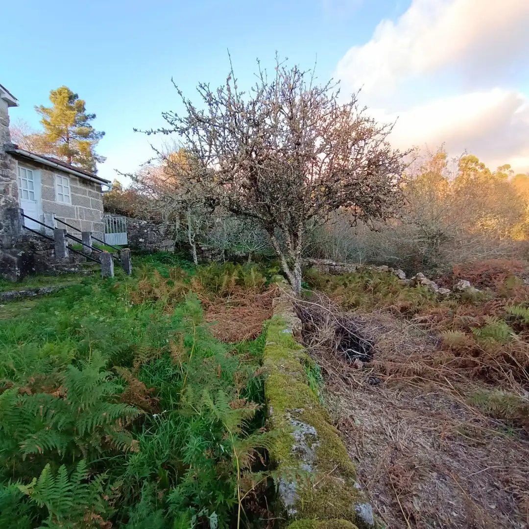 Casa o xalet en venda en Cotobade amb Jardí privat