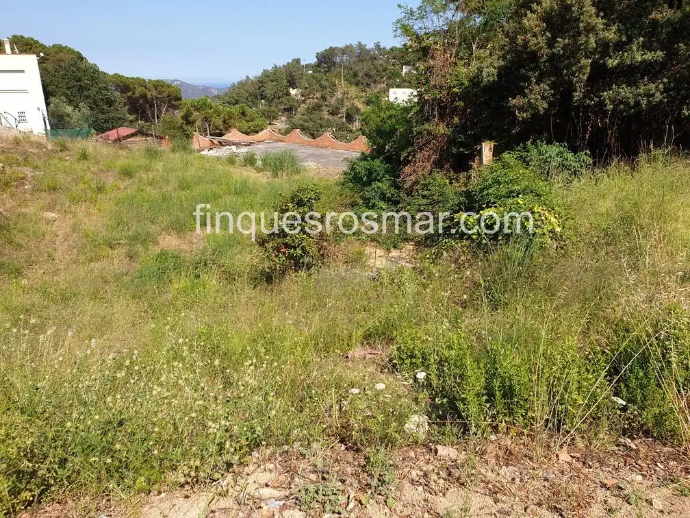 Terrenos y solares en venta en Serra Brava, imagen 2