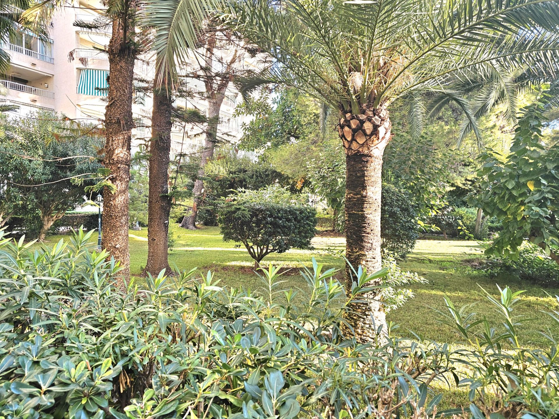 Garden of Flat for sale in Gandia  with Terrace, Furnished and Community pool