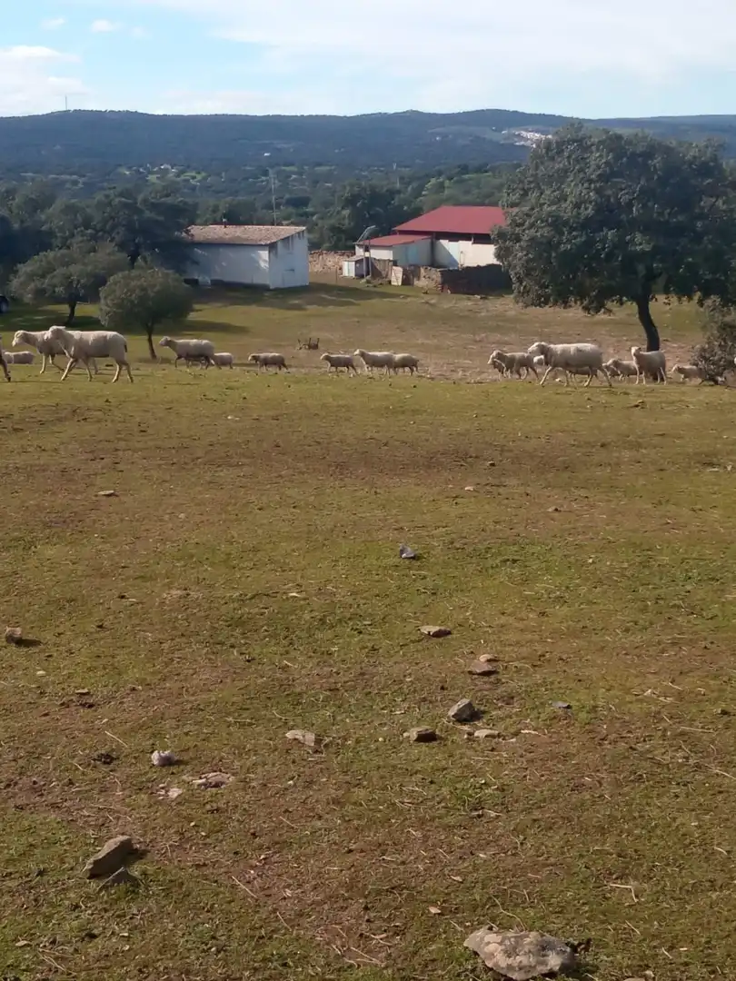Finca rústica en venda en Cardeña