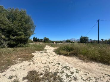 Terreno rústico en venta en Camí del Sarandó 28