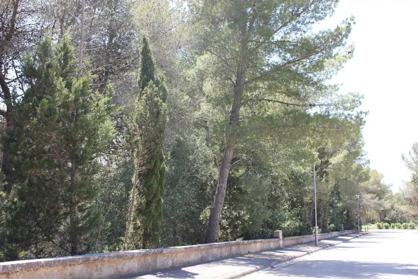 Residential land for sale in Bacarés - Manresa - Bonaire, imagen 3