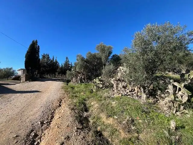 Residential land for sale in Can Muni. Polígono 2 Parcela, imagen 6