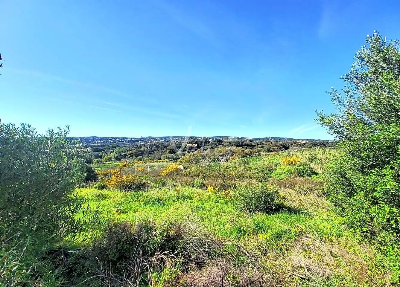 Terrenys i solars en venda a Lavanda En La Reserva De Sotogrande, imagen 13