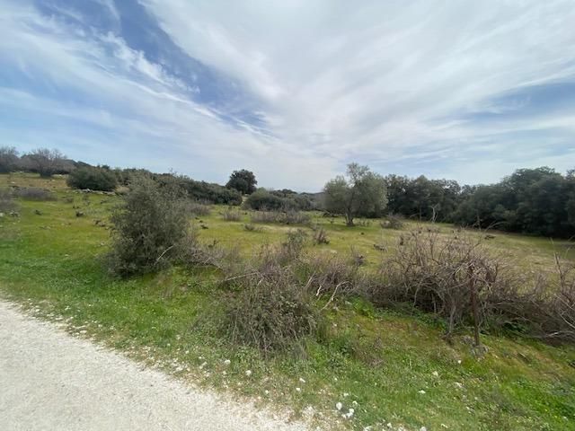 Finca rústica en venda en Cenicientos amb Jardí privat
