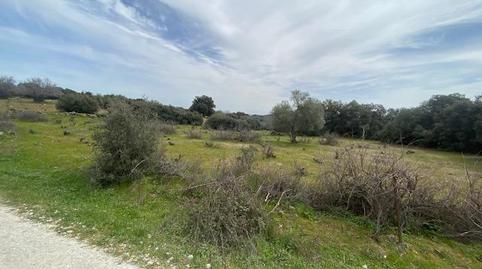 Foto 2 de Finca rústica en venda a Cenicientos, Madrid