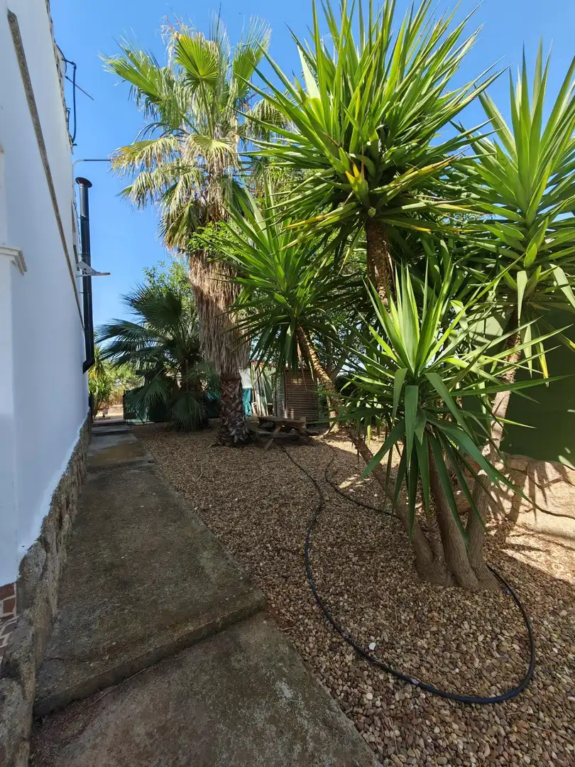 Jardín de Casa o chalet en venta en Guareña con Terraza y Piscina
