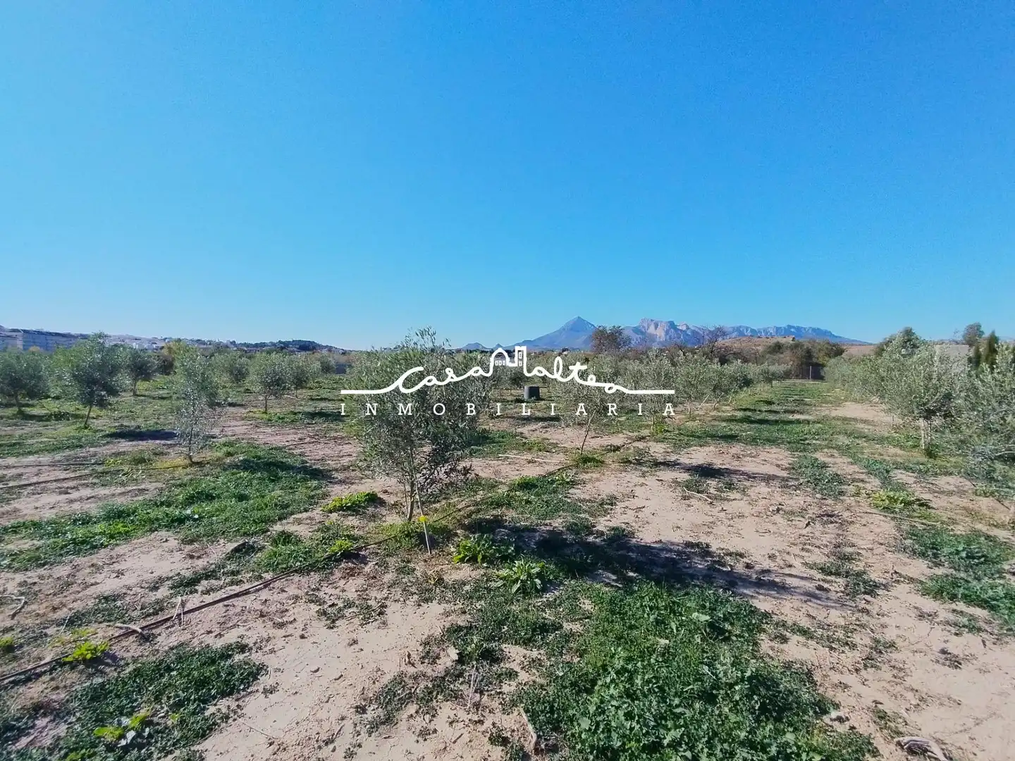 Rural land for sale in L'Olla, imagen 15