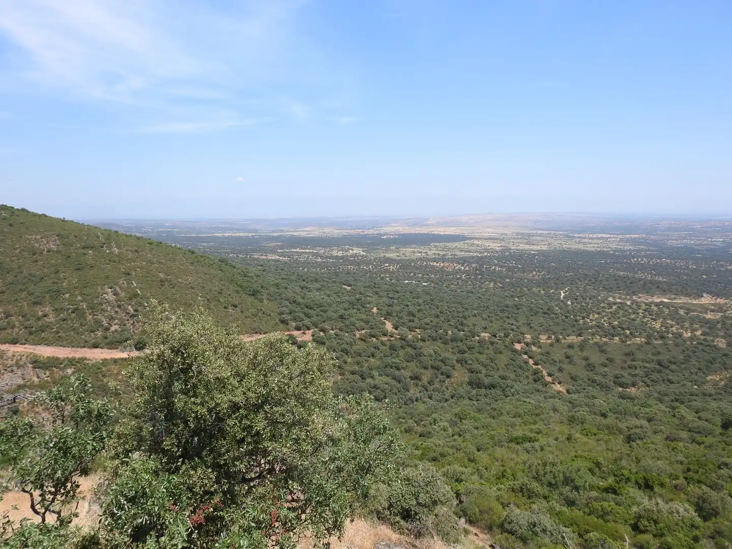 Terreni e lotti in vendita a Villar del Pedroso, imagen 6
