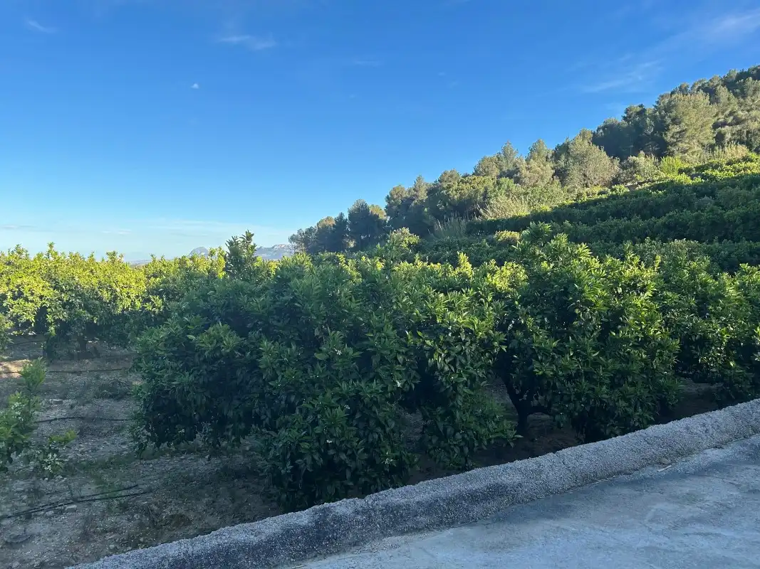 Finca rústica en venda en Oliva amb Moblat