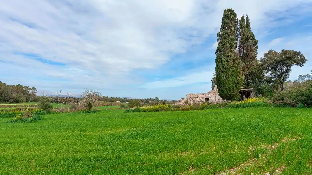 Rural land for sale in Muro, imagen 6