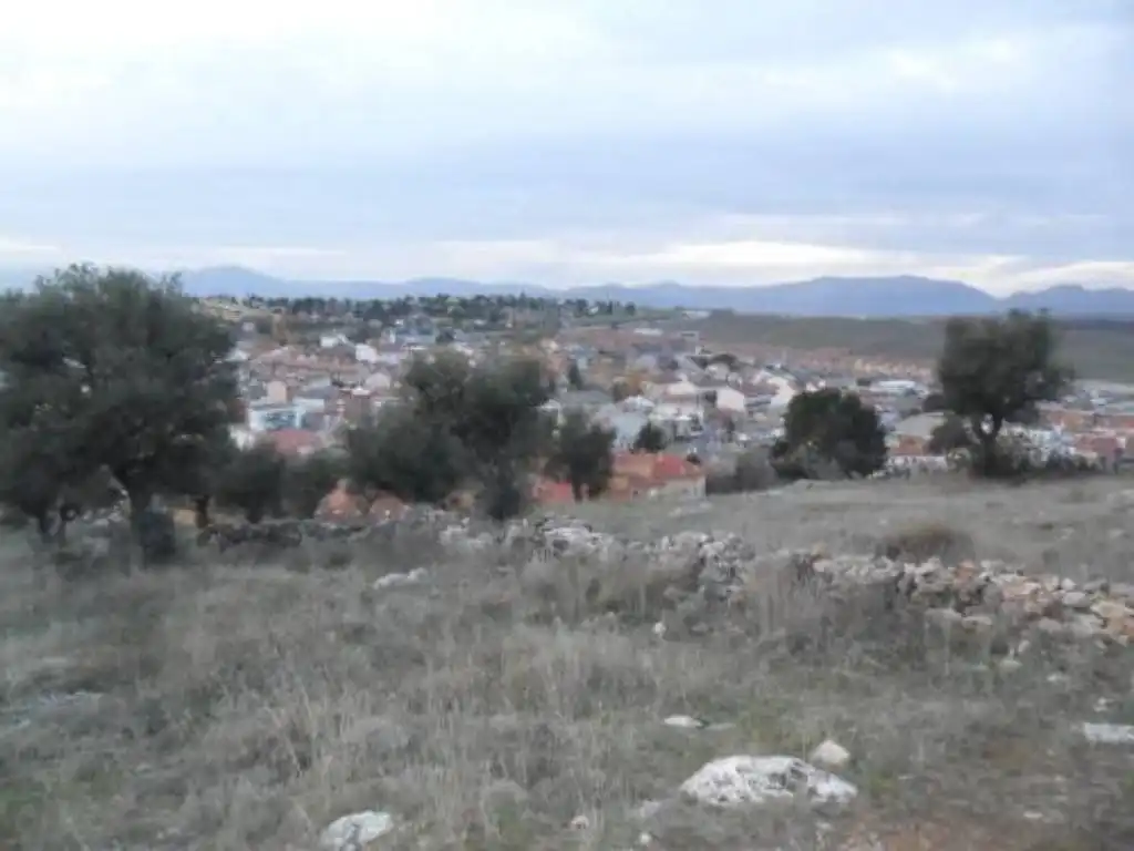 Rural land for sale in Calle LA TORRETA, imagen 6