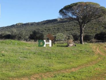 Terreni e lotti in vendita a Santa María  - Pío XII