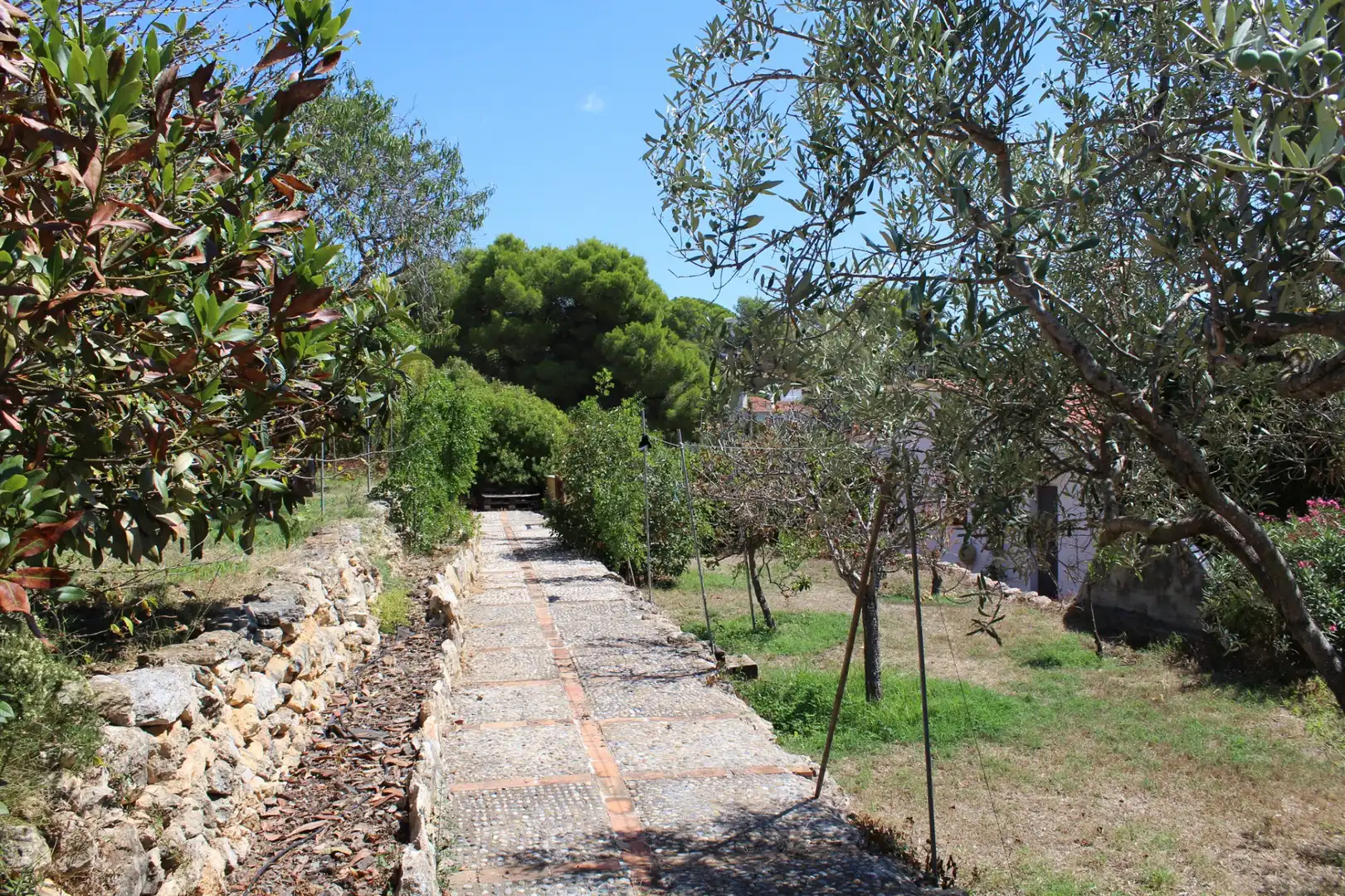 Jardín de Casa o chalet en venta en Vespella de Gaià con Jardín privado, Piscina y Amueblado
