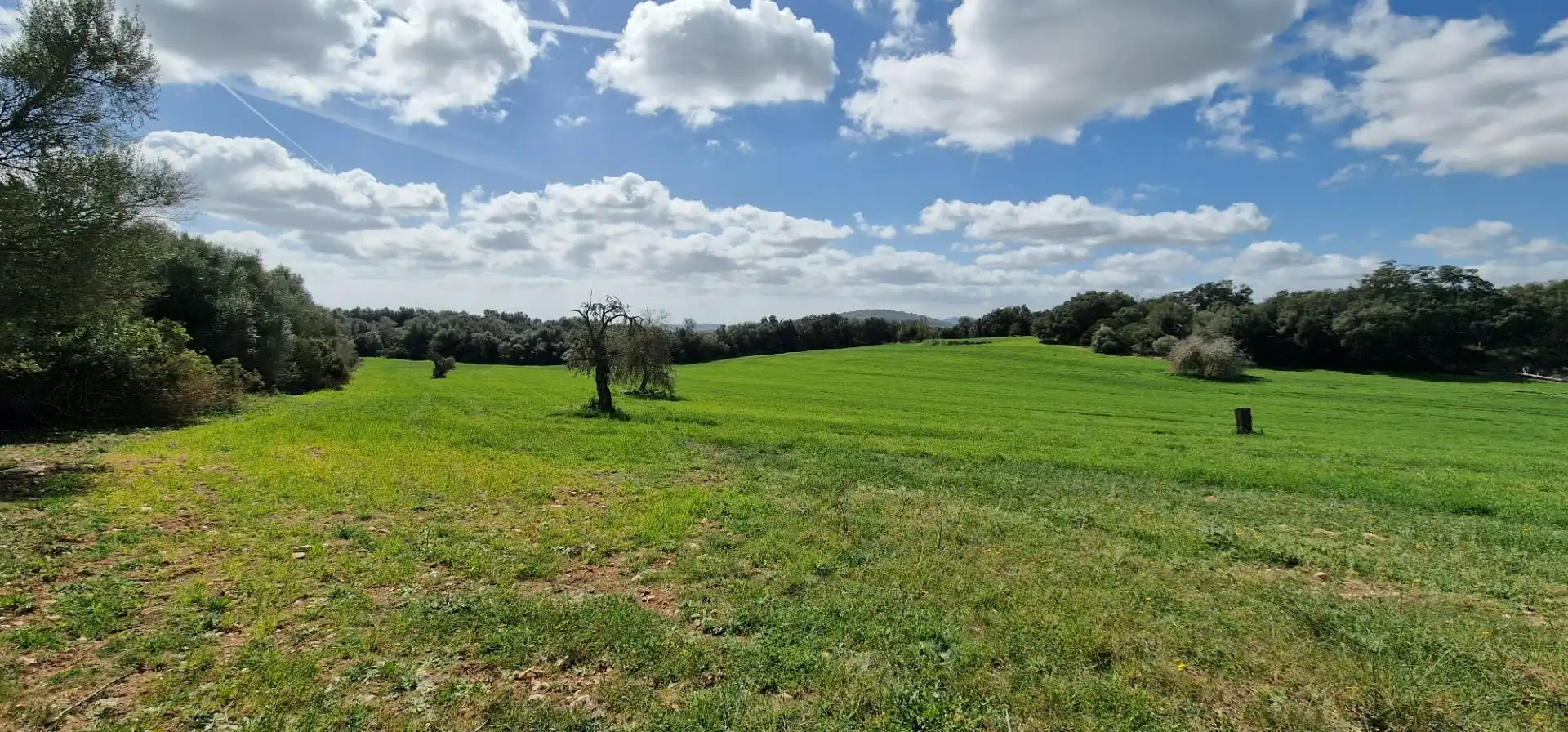 Country homes for sale in Manacor