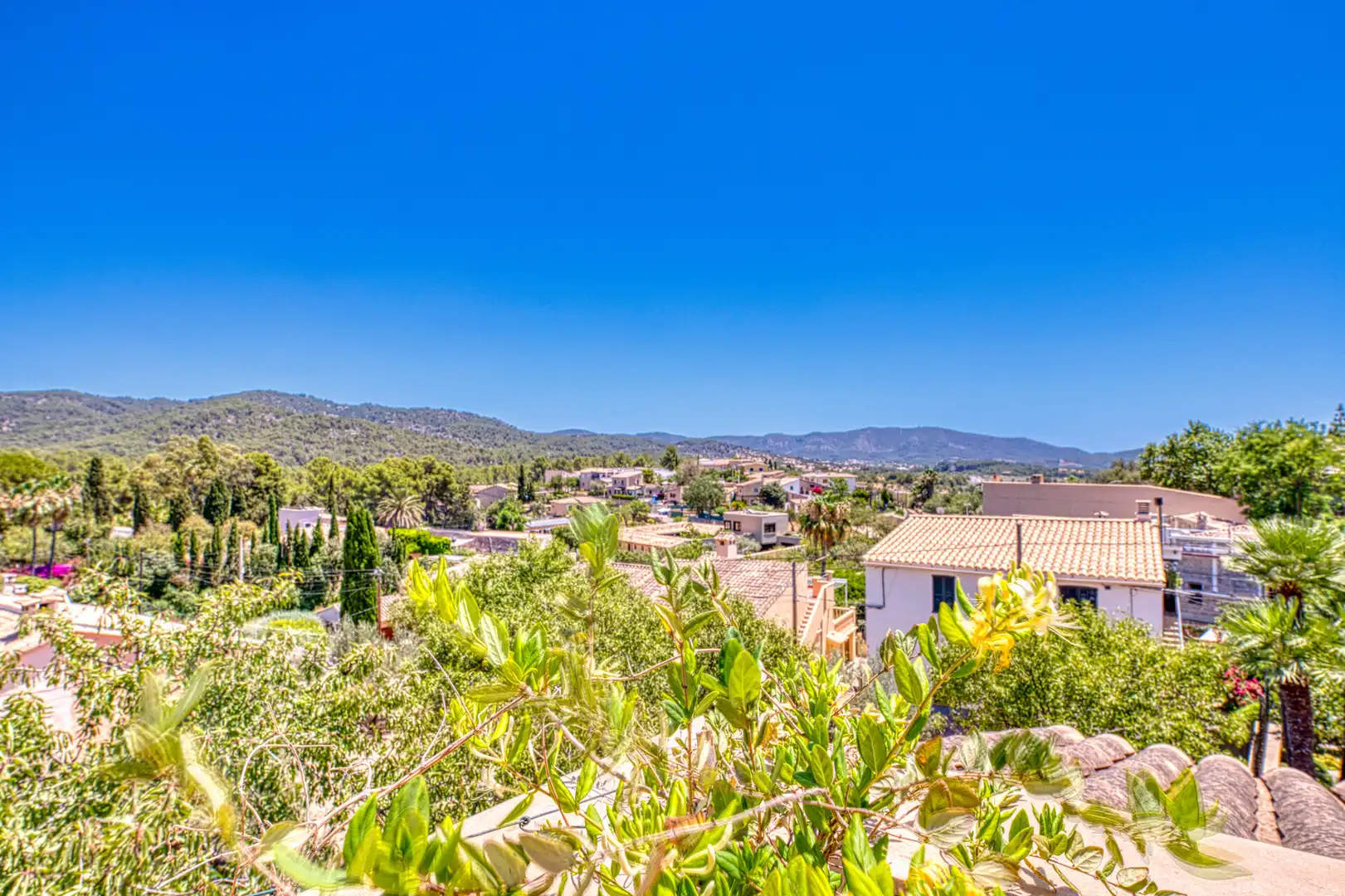 Exterior view of Houses for sale in Calvià  with Private garden