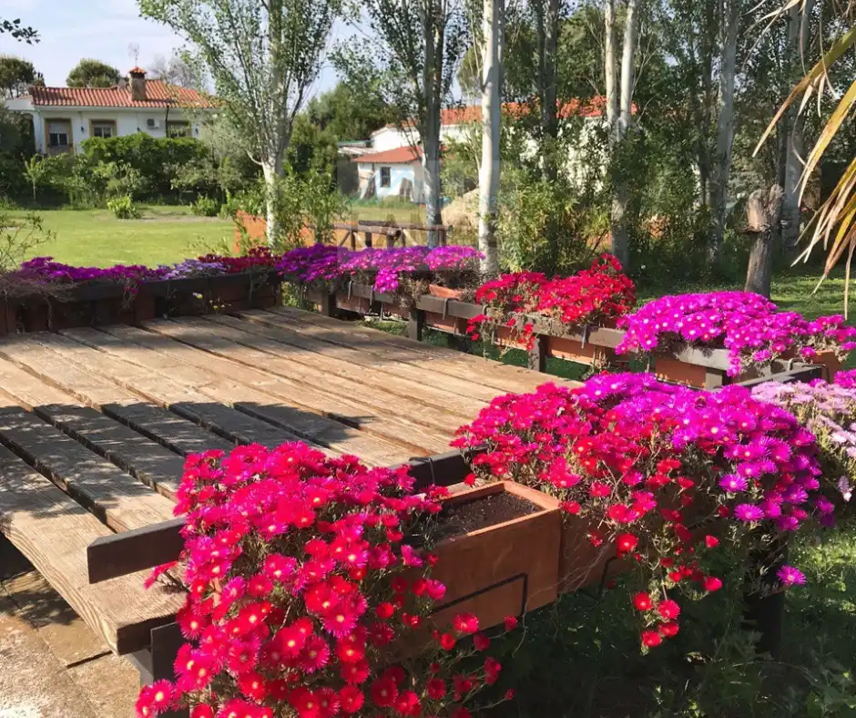 Terrassa de Finca rústica en venda en Belvís de Monroy amb Aire condicionat, Jardí privat i Piscina