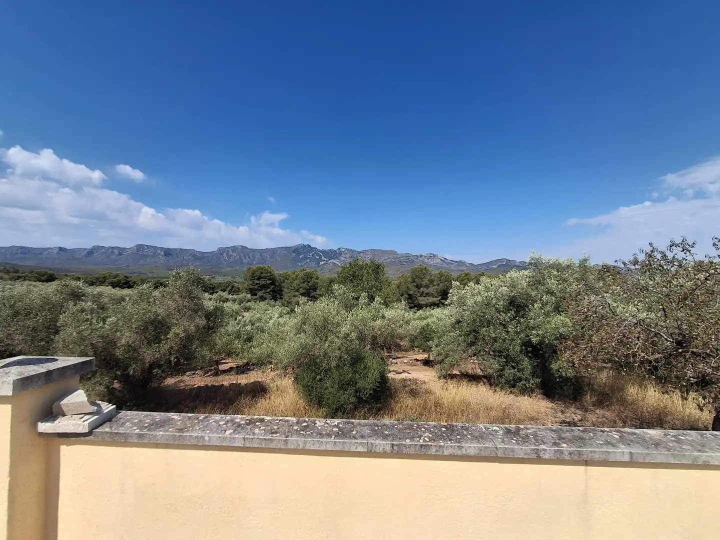 Finca rústica en venda en Tivissa amb Piscina comunitària