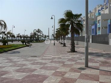 Apartament amb piscina de lloguer a Paseo Carmen Sevilla 2