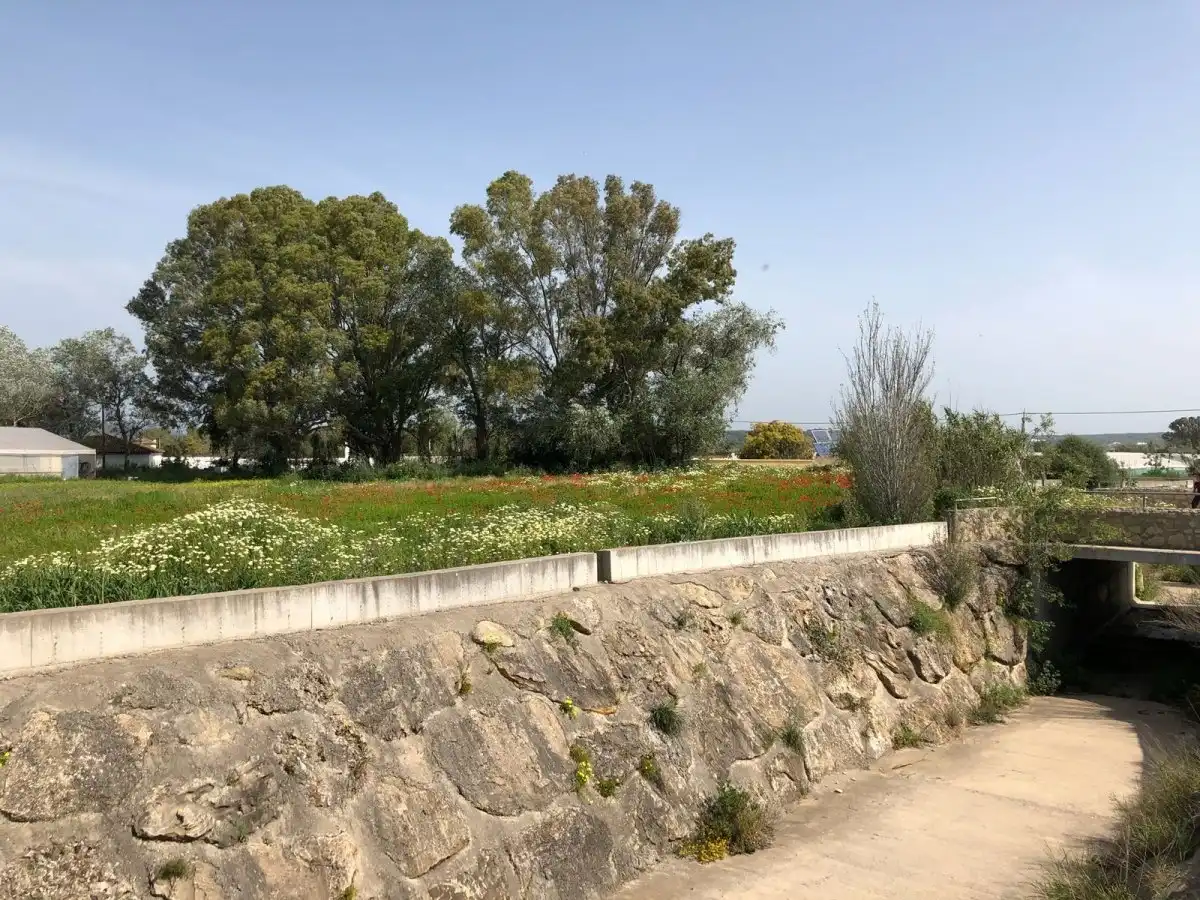 Terreni e lotti in vendita a Barbate ciudad, imagen 18