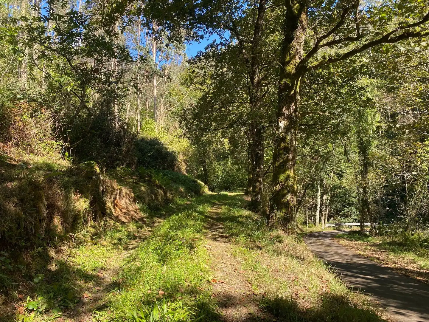Maison avec jardin à vendre à Tresmonte, imagen 4
