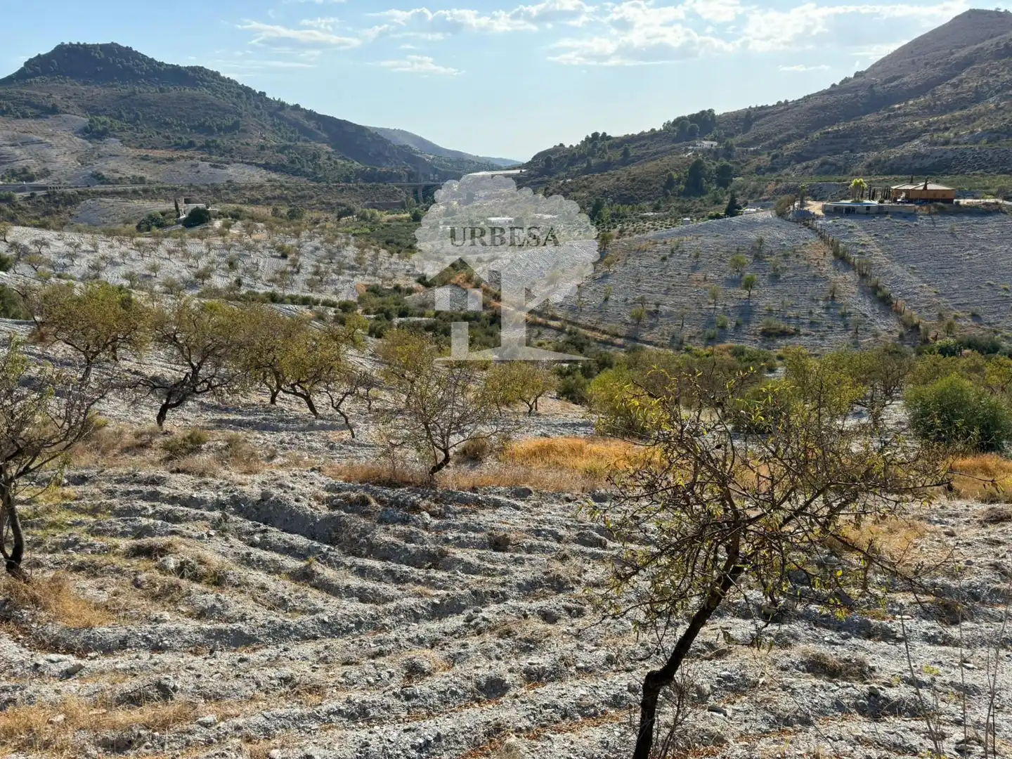 Grundstücke zum Verkauf in Vélez de Benaudalla