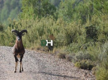 Terreni e lotti in vendita a San Fernando - Carretera de Valencia