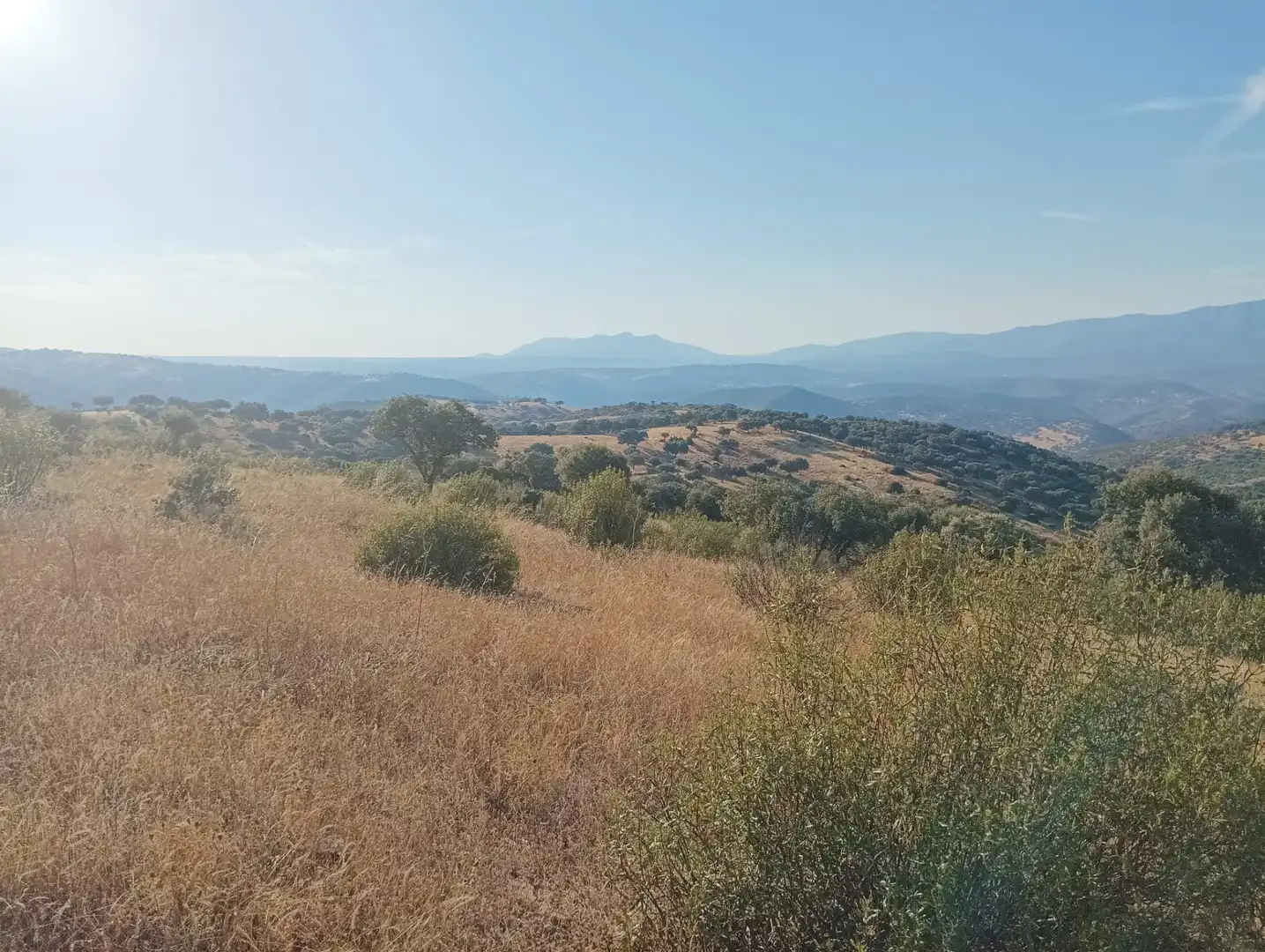 Land for sale in Córdoba