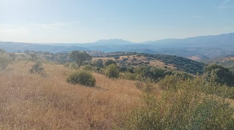 Foto 4 de Terreno en venta en Zona Centro, Córdoba Capital