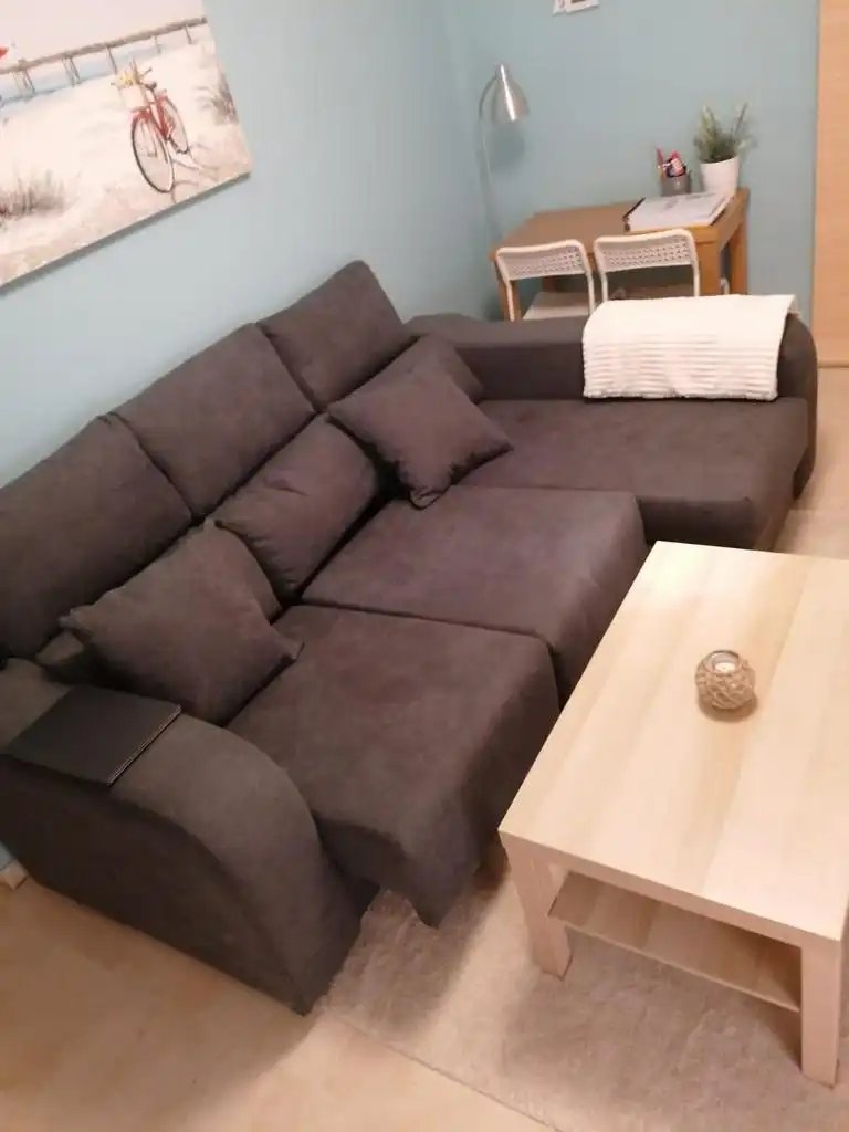 Sala de estar de Apartamento de alquiler en Málaga con Aire acondicionado, Amueblado y Horno