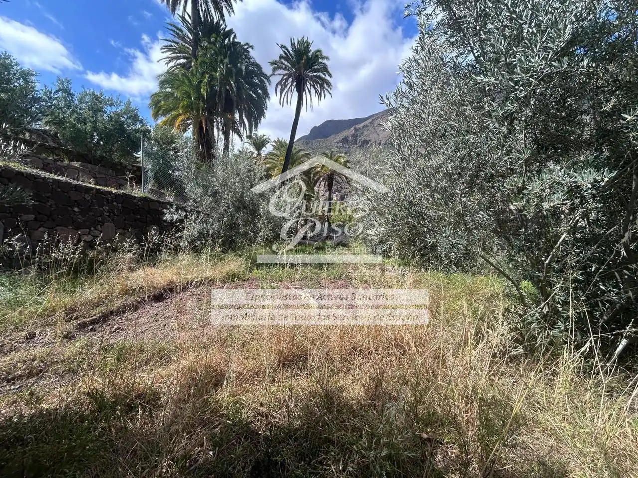 Land for sale in Santa Lucía de Tirajana