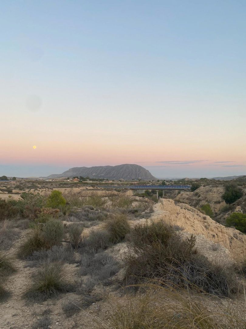 Land for sale in Camí de l'Alcoraia, 21, Cañada del Fenollar