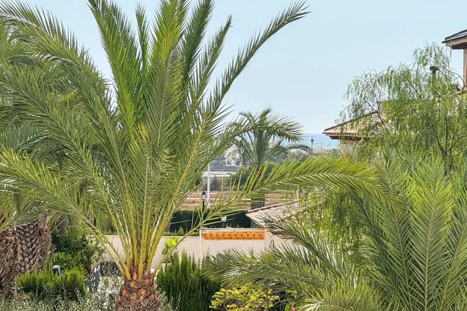 Apartments for sale in La Marina