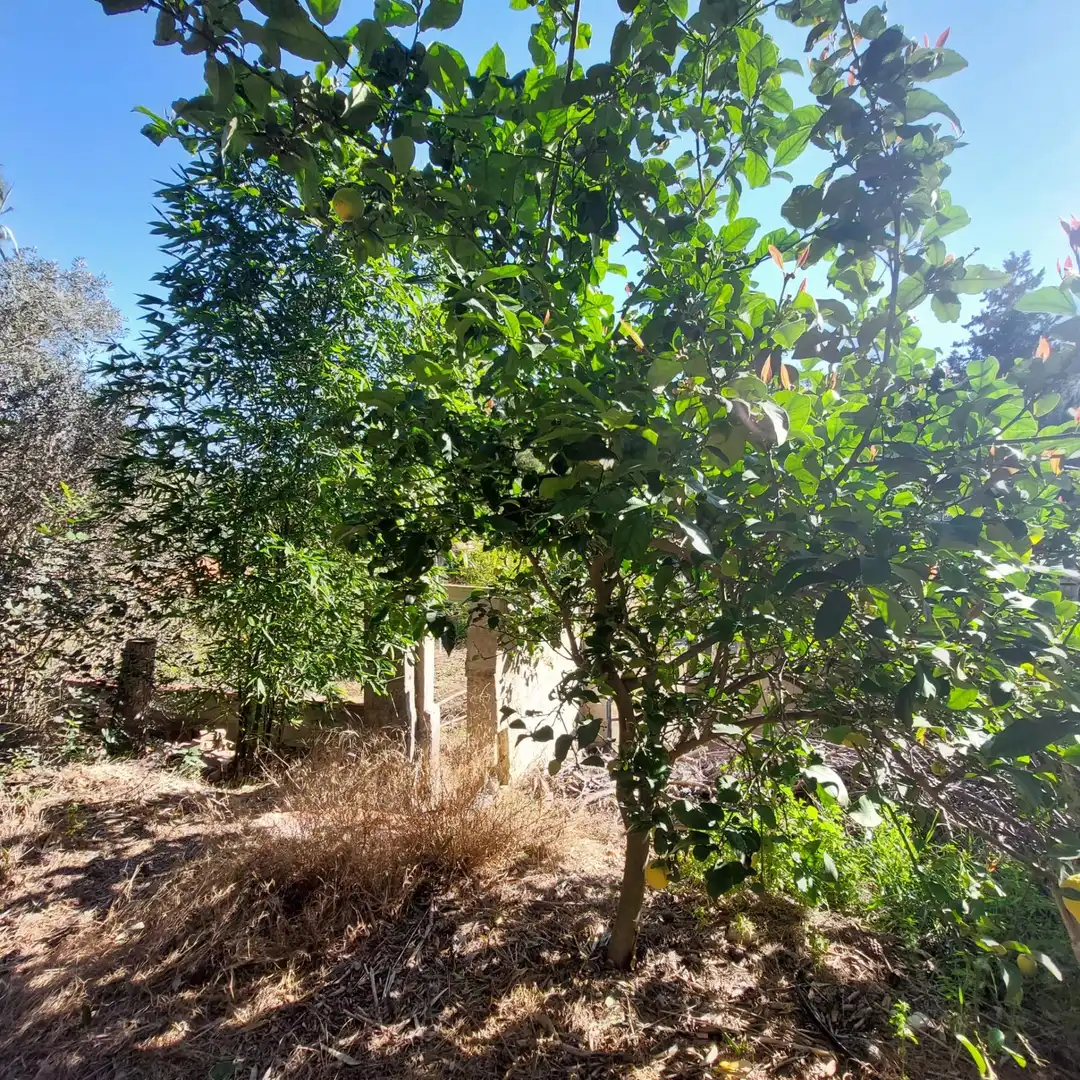 Country homes for sale in Murcia  with Air Conditioner, Heating and Private garden