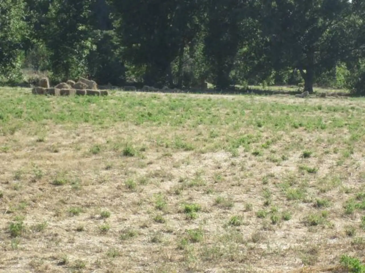 Terreno residencial en venta en Poligono 20, imagen 11