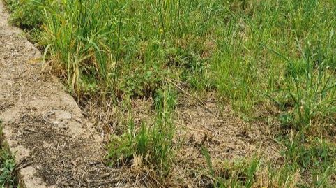 Foto 4 de Residencial en venta en Avenida la Paz, 12, Murillo de Río Leza, La Rioja