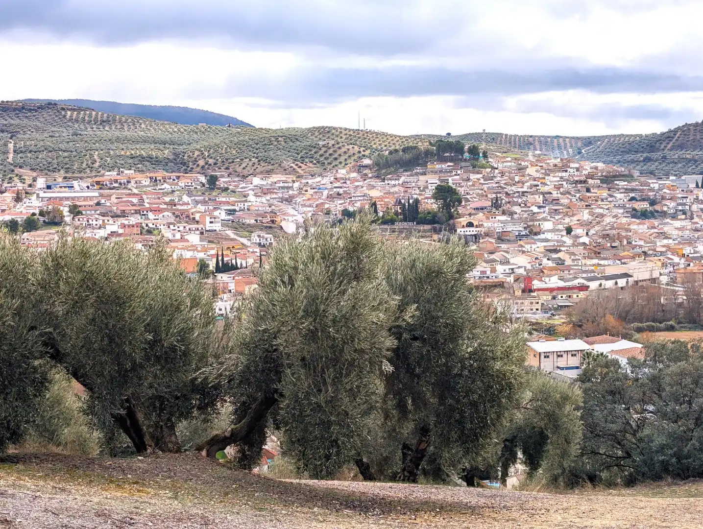 Rustikales Grundstück zum Verkauf in Camino del Vado, imagen 5