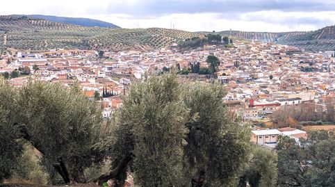 Terreno en Venta en Deifontes con proyecto de inversión, immagine 5